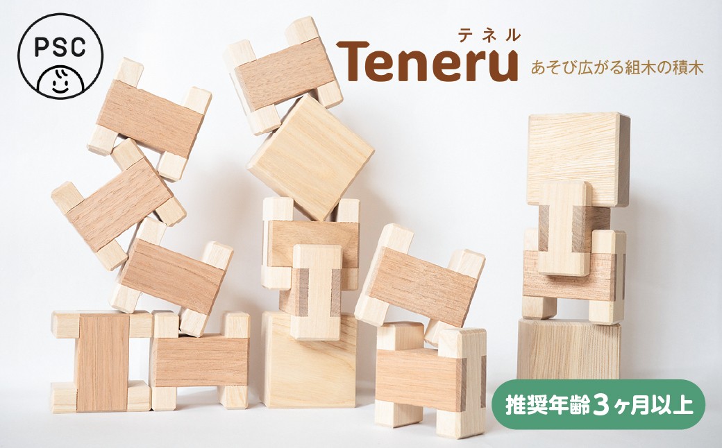 
                  Teneru（テネル）  | 積み木 つみき 木製 飛騨高山 国産 プレゼント 知育玩具 おもちゃ 日本製 オークヴィレッジ AH338
                