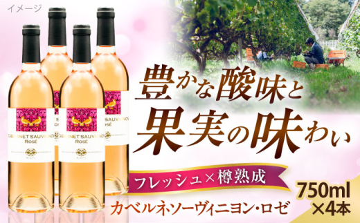 ワイン 奥出雲葡萄園 カベルネソーヴィニヨン・ロゼ  4本セット 国産 ワイン セット ロゼワイン カベルネソーヴィニヨン ロゼ 4本 4本セット 詰め合わせ 飲み比べ セット まとめ買い お酒 酒 アルコール 日本ワイン 国産ワイン 地ワイン 750ml 辛口 フルーティー お取り寄せ プレゼント お祝い 誕生日 記念日 島根県雲南市/有限会社奥出雲葡萄園 [AICS021]