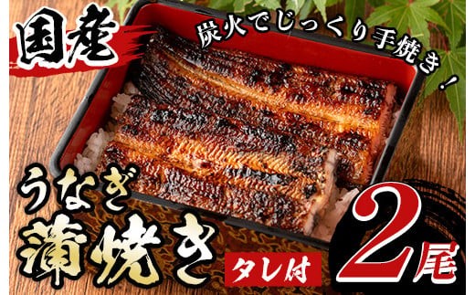 y135 国産！うなぎ蒲焼き(2尾・タレ付き) 国産 九州産 鹿児島県 宮崎県 鰻 ウナギ unagi うな重 うな丼 ひつまぶし うなじゅう 蒲焼 かばやき 無頭 魚 魚介類 土用 丑の日 タレ タレ付 おかず 惣菜 冷蔵 特産品 お土産 ギフト プレゼント ご贈答 真空パック 湯煎 レンジ 簡単調理 内容量選べる 尾数選べる えらべる 【尾方屋】
