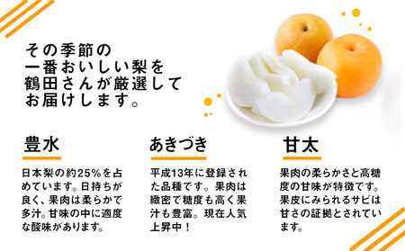 【先行予約】梨 鶴田農園 梨予約 豊水 あきづき 甘太 のいずれかお届け 約2kg 5～6玉 【日付指定不可】 熊本県 荒尾市産 和梨 《8月下旬-9月下旬頃出荷》