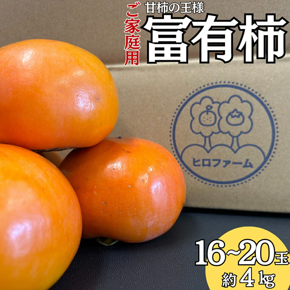 【ふるさと納税】柿 訳あり ご家庭用 4kg 富有柿 | 23M