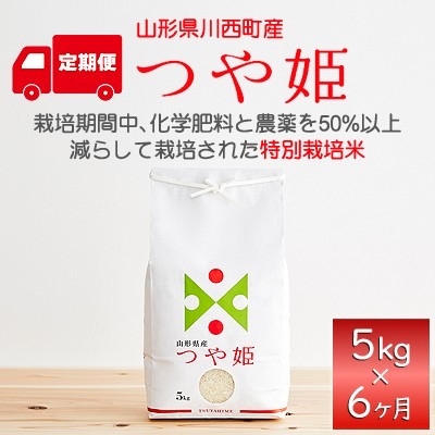 
                  ＜毎月定期便＞山形県産　つや姫　5kg全6回【4090394】
                