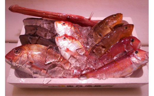 ＼朝どれ新鮮／ 鮮魚セット (大) 約4～5kg前後  目利きのプロが厳選した旬の魚をその日の内に発送！ 魚 鮮魚 海鮮 鯛 のどぐろ【nss405】