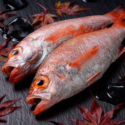 ふるさと納税 京丹後市 のどぐろ一夜干し　(ノドグロ、アカムツ)　300g級使用　干し上がり後　210g以上　3尾セット |  | 03