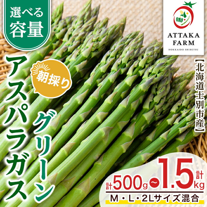 【ふるさと納税】＜特別栽培・期間限定＞北海道士別市産 朝採りグリーンアスパラ (M～2Lサイズ混合・500g～1.5kg) 【2026年5月以降順次発送】野菜 アスパラ アスパラガス グリーンアスパラ 北海道 北海道産 国産 旬 産地直送 【あったかふぁーむ】