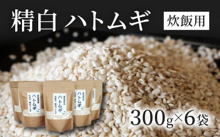 (スピード発送)精白ハトムギ300g×6袋(ひきわりタイプ)|豊後高田市 ハトムギ