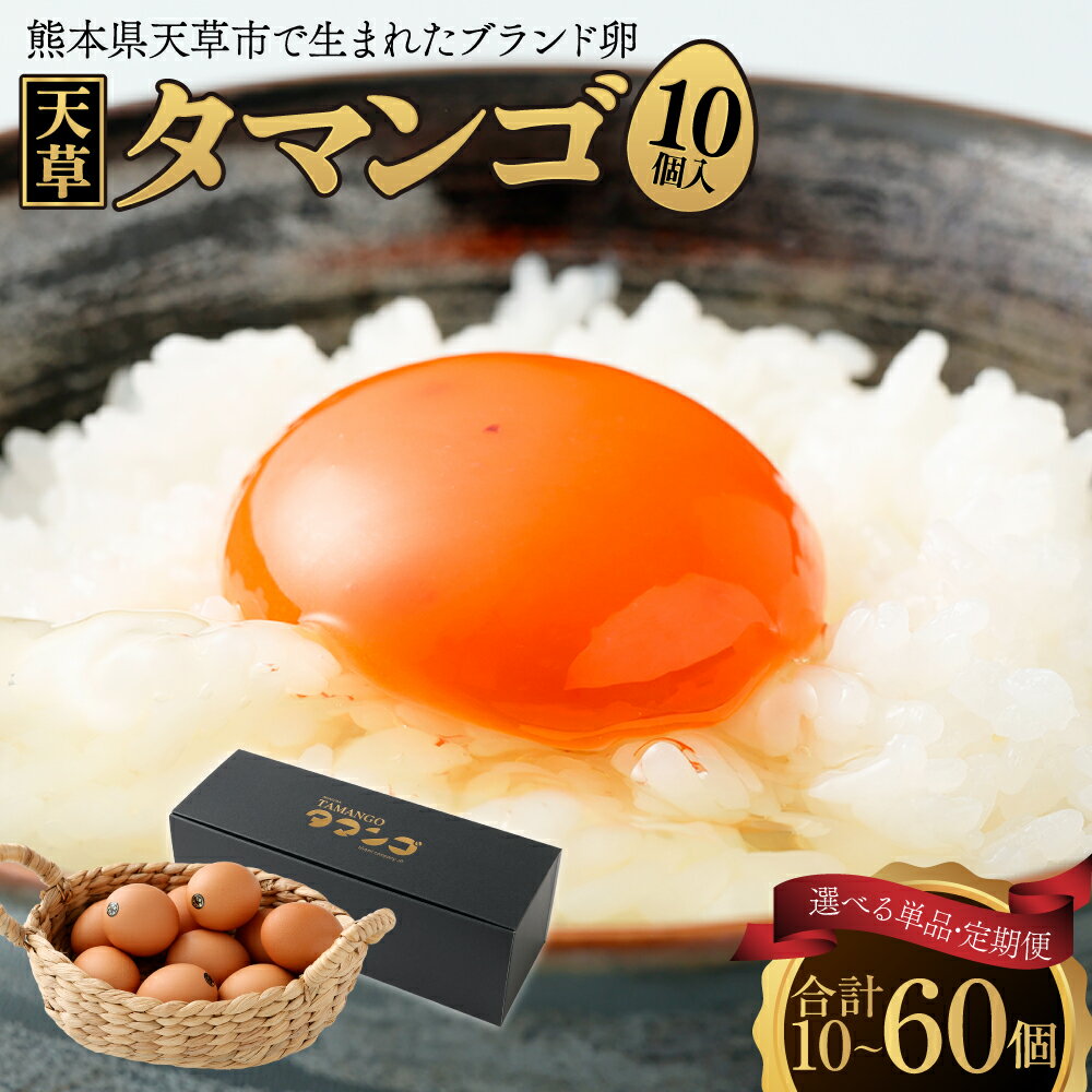 【ふるさと納税】＜選べる単品・定期便＞熊本県天草市で生まれたブランド卵「天草タマンゴ」 化粧箱入 1個あたり（64g～70g） 1回あたり10個入 1ヶ月毎 3回 6回 生卵 卵 たまご タマゴ 冷蔵 熊本県産 国産 九州 熊本県 送料無料