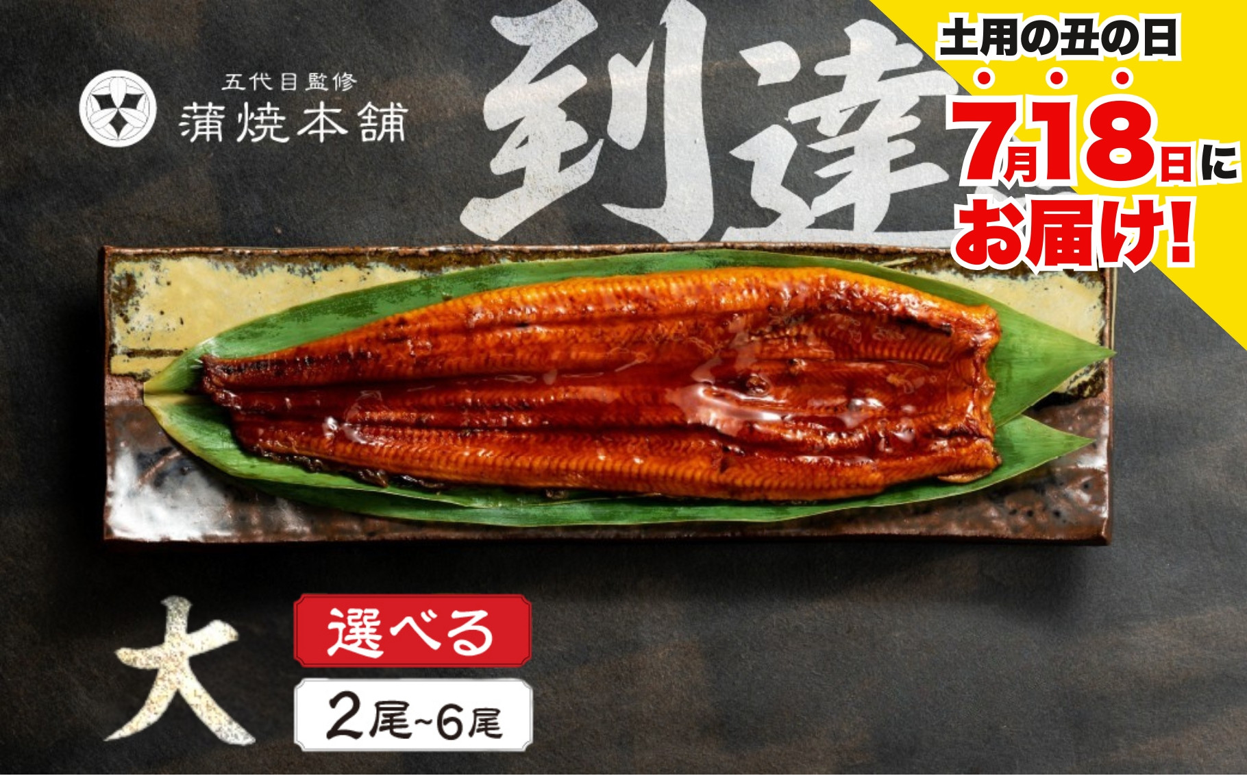 
            ≪土用の丑の日対応≫ ふっくら肉厚！国産うなぎ 蒲焼 大 2尾~6尾 選べる 老舗 国産うなぎ セット 詰め合わせ 蒲焼 ウナギ うなぎ unagi 鰻 2尾 4尾 6尾
          