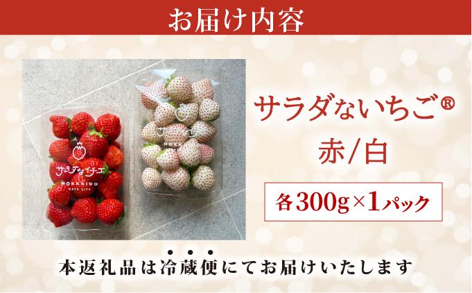 ＜2026年先行予約＞ サラダないちご（赤・白）【ecg-003】