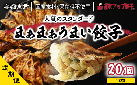 【定期便12回】宇都宮餃子 運気アップ餃子 まあまあウマイ餃子（18個×12回　合計216個）【配送不可地域：離島】