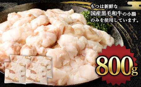 国産牛もつ鍋 8人前 ちゃんぽん・濃縮スープ付（みそ味） もつ ホルモン 鍋 お鍋 セット 冷凍 岡垣町