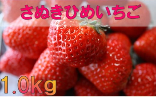 
1184　【年内発送】三木町地域いちご部会「さぬきひめ」1㎏DXパック
