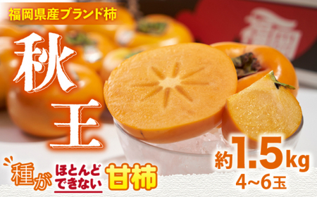 先行予約 柿 秋王 約1.5kg 柿 人気 美味柿 種なし柿 柿 柿 [GCD021]