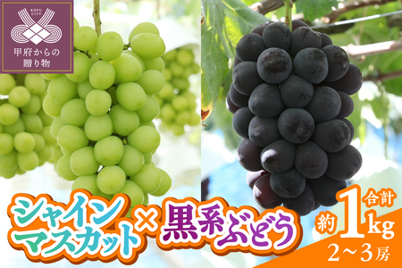 〈2025年度配送分〉甲府市産　シャインマスカット×黒系ぶどう　約1.0kg（2～3房）