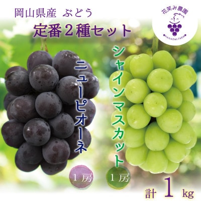 【2026年先行受付】岡山　花笑み農園の『ニューピオーネ＆シャインマスカット』1kg(2房)PS-1【配送不可地域：離島・北海道・沖縄】【1627783】