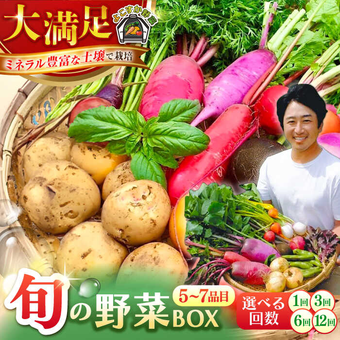 【ふるさと納税】【お届け回数が選べる！】すずなり採れたて野菜BOX（5〜7品目）野菜セット 詰め合わせ 季節野菜 やさい 産地直送 旬 新鮮 定期 定期便【鈴也ファーム】[AKCE001] 6000円 6千円