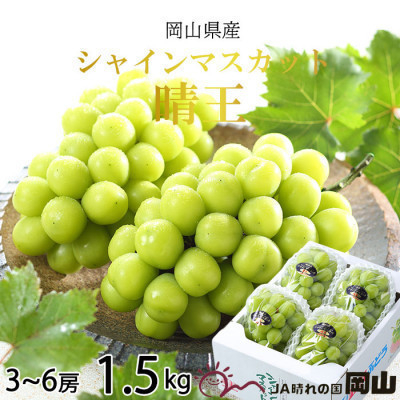
                  ＜2025年8月より発送＞岡山県産　シャインマスカット　晴王　1.5kg(3房～6房)_シャインマスカット ぶどう 葡萄 ブドウ 種無し 果物 くだもの フルーツ 岡山県 津山市 産直 ギフト プレゼント 送料無料【1366038】
                