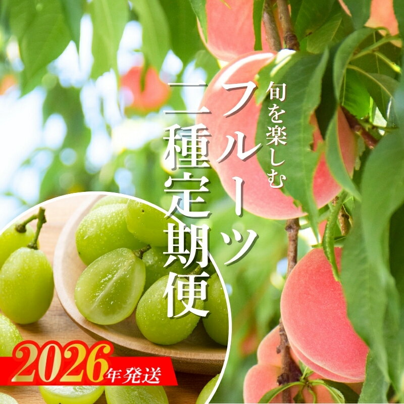 【ふるさと納税】No.2529 【2026年発送分】フルーツ2種定期便　（桃約3kg、シャインマスカット2～3房）