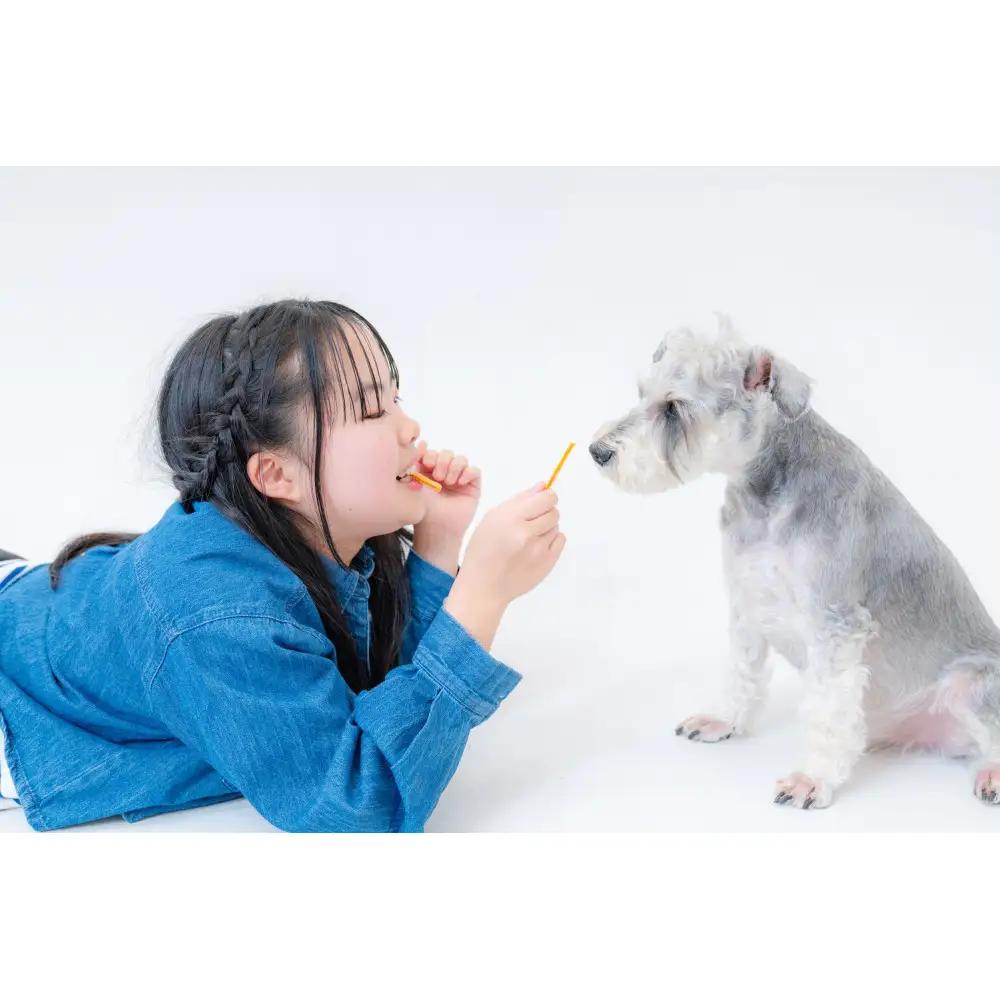 愛犬にもあげられるお菓子Chillわん スティックニョッキ | 犬用 おやつ ペット食品
