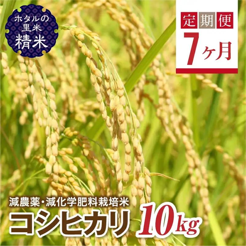  ＜定期便7ヶ月＞【ホタルの里米】環境に配慮し農薬を減らした栽培米 コシヒカリ精米10kg  F4D-2297
