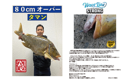 釣針 はりよし ウェーブラインストロング（徳用） 18号（白金、黒 各1セット）[ 釣り 釣り針 あじ  ]