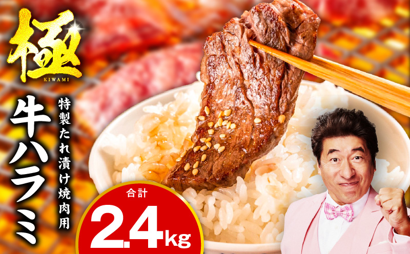 牛肉 ハラミ 2.4kg（300g×8P）【氷温熟成×特製ダレ 大阪 泉佐野 大阪府 泉佐野市】