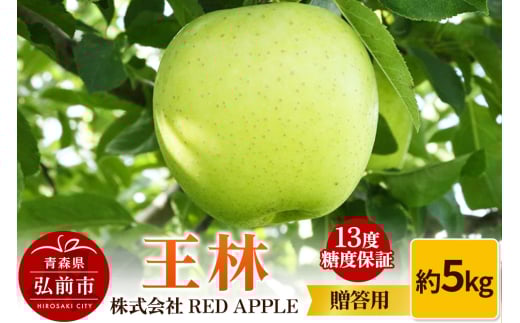 りんご 13度糖度保証【贈答用】王林 約5kg