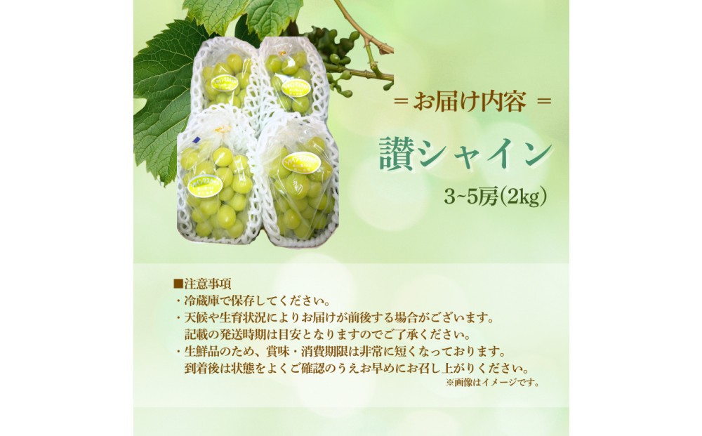 
                  香川産 シャインマスカット「讃シャイン」３～５房（2kg以上）
                