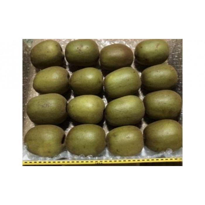 【ふるさと納税】キウイフルーツ（レインボーレッド2kg）と追熟剤セット | フルーツ 果物 くだもの 食品 人気 おすすめ 送料無料
