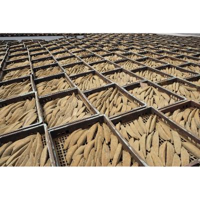 ふるさと納税 指宿市 【全6回定期便】鰹本枯れ節定期便(Z-016) |  | 02