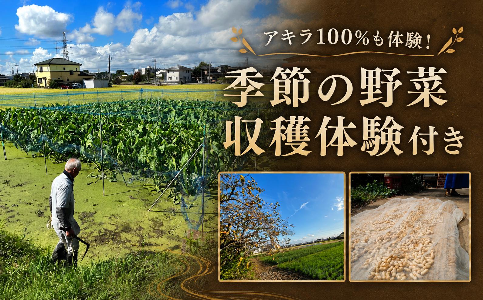 宿泊者は、その季節にあった農業体験ができます。