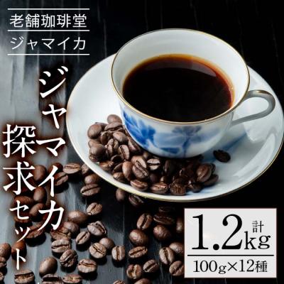 ふるさと納税 いちき串木野市 地元老舗店が贈る”ジャマイカ探究セット”