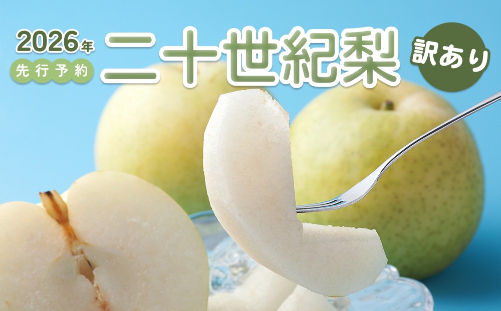 
                  【2026年 先行予約】訳あり 二十世紀梨 3～10kg｜鳥取 東光園 梨 2026年収穫後 2026年8月下旬～9月頃順次発送※着日指定不可
                