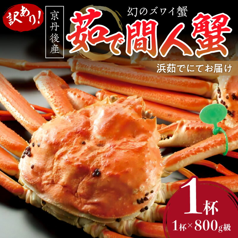 【ふるさと納税】【訳あり！！幻のズワイ蟹】京丹後産 茹で間人蟹 鮮度抜群、浜茹でにてお届け！！ 800g級（足1本落ち）×1杯 国産 海産物 甲殻類 かに ずわいがに 間人蟹 茹で ボイル ふるさと納税 海鮮 ふるさと納税 訳あり 間人がに たいざがに 京都 丹後 海祥 送料無料