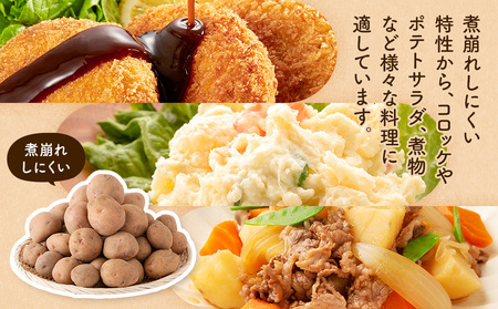 【数量限定】R8年産先行受付 じゃがいも（さやあかね） 有機栽培  10kg | ジャガイモ 芋 さやあかね 馬鈴薯 大容量 新鮮 野菜 煮物 コロッケ ポテトサラダ ポテト 保存 特産 産地直送 北