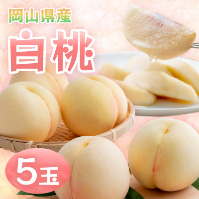 【2026年発送】岡山県産　白桃 5玉　約1.3kg【配送不可地域：離島】【1493866】