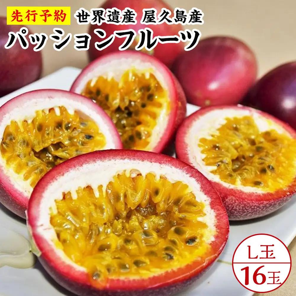 【2027年発送先行受付】絶品パッションフルーツL玉(16玉)“屋久島の恵み”と“愛情”込めて！