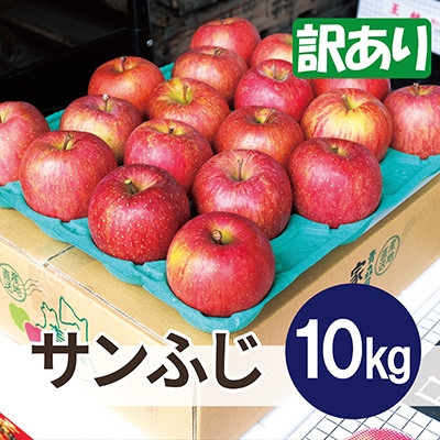 【26年6月出荷予定】平均糖度13度以上! サンふじ 約10kg 訳あり CA貯蔵 クール便【配送不可地域：離島・沖縄県】【1612835】