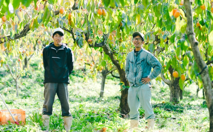 柿 西条柿 つるし柿 干し柿 手作り デザート セット 島根 松江 おすすめ 人気