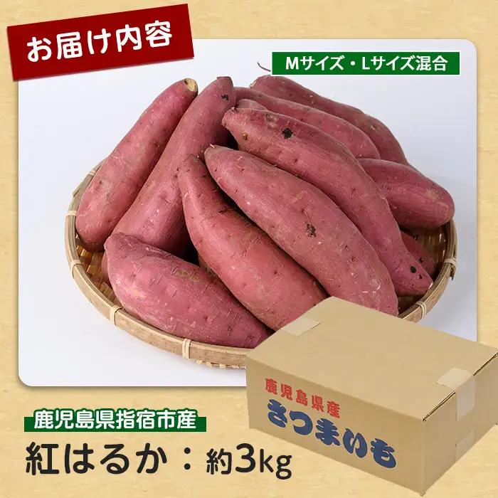 さつまいも 紅はるか 約3kg サツマイモ IB084-007