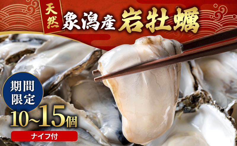 象潟産 天然岩牡蠣 10～15個 ナイフ付【牡蠣 夏牡蠣 かき 象潟 生食可 魚介類 海鮮　海産物 海の幸】　みずしまや