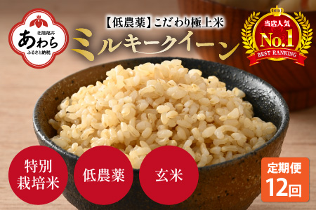 【令和6年産新米】《定期便》5kg×12回 60kg 特別栽培米 ミルキークイーン 玄米 低農薬《食味値85点以上！こだわり玄米》 / 福井県 あわら市 北陸 米 お米 人気 ※2024年9月下旬以降順次発送予定