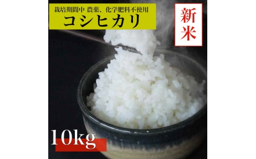 【令和8年産　新米先行予約】コシヒカリ白米10kg《栽培期間中農薬・化学肥料不使用》徳島県阿南市産【1655400】