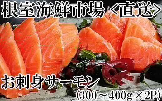 A-14140 お刺身トラウトサーモン約300～400g×2P