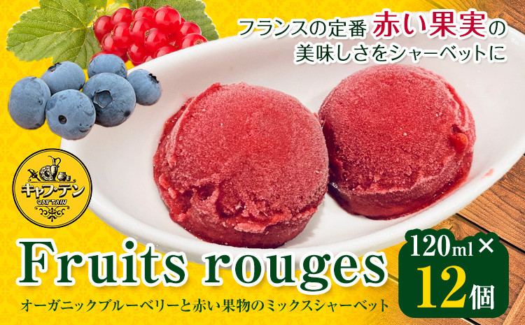 
            Fruits rouges (フリュイ ルージュ) オーガニックブルーベリー と 赤い果実 の ミックス シャーベット120ml × 12個 CAP’TAIN 《90日以内に出荷予定(土日祝除く)》ふるさと納税 徳島県 美馬市 ブルーベリー カシス シャーベット デザート おやつ 送料無料
          