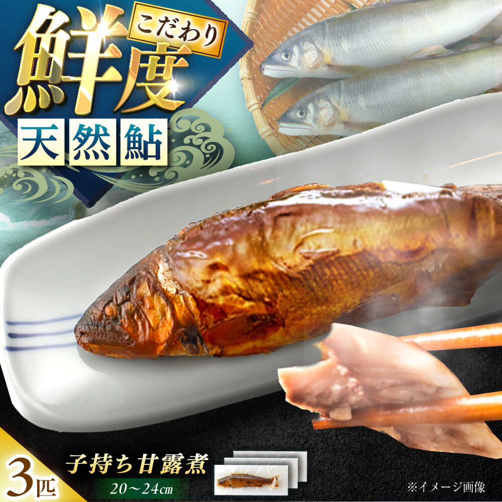 【ふるさと納税】子持ち天然あゆの甘露煮 3匹セット / あゆ 天然 鮎 甘露煮 あゆ 甘露煮 保存 プレゼント お取り寄せ /恵那市/恵那物産館[AUFS004]