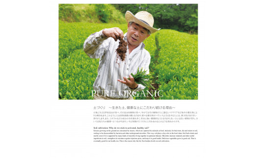 【2025年新茶】【ギフト用】＜農薬不使用＞玉露・煎茶ギフトセット【2025年5月下旬発送開始】