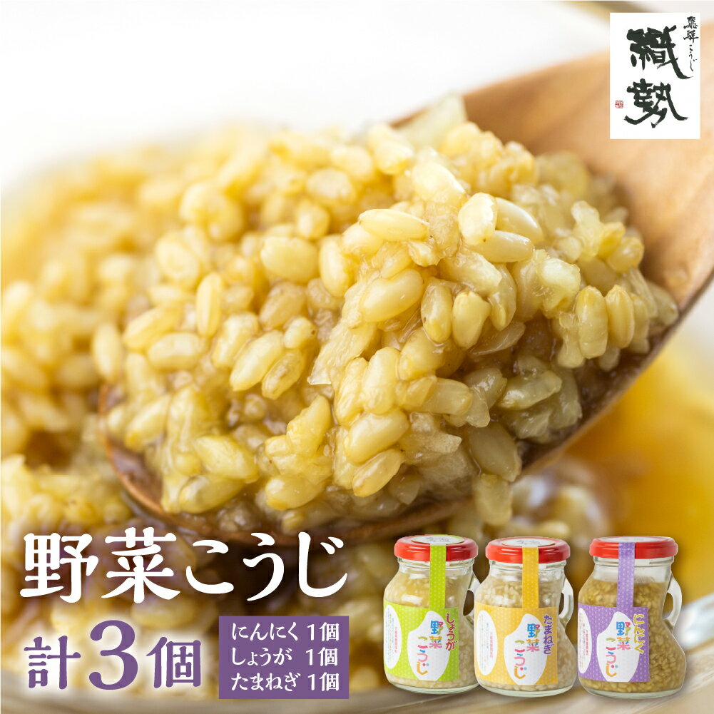 【ふるさと納税】野菜麹 野菜こうじ 飛騨こうじ 選べる たまねぎ しょうが にんにく 計3個セット 米麹 米こうじ 生麹 発酵食品 発酵 発酵調味料[Q2032]