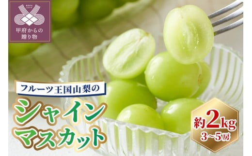 〈2026年度配送分〉シャインマスカット 3~5房(1箱2kg以上)262K