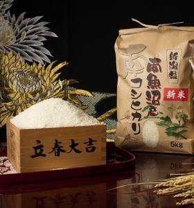 【頒布会】【令和7年産 新米予約】南魚沼塩沢産こしひかり（無洗米5kg×全3回）【令和7年11月上旬より順次発送予定】